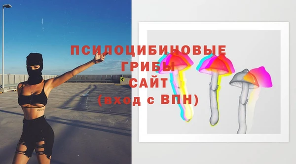 мяу мяу мука Каменка
